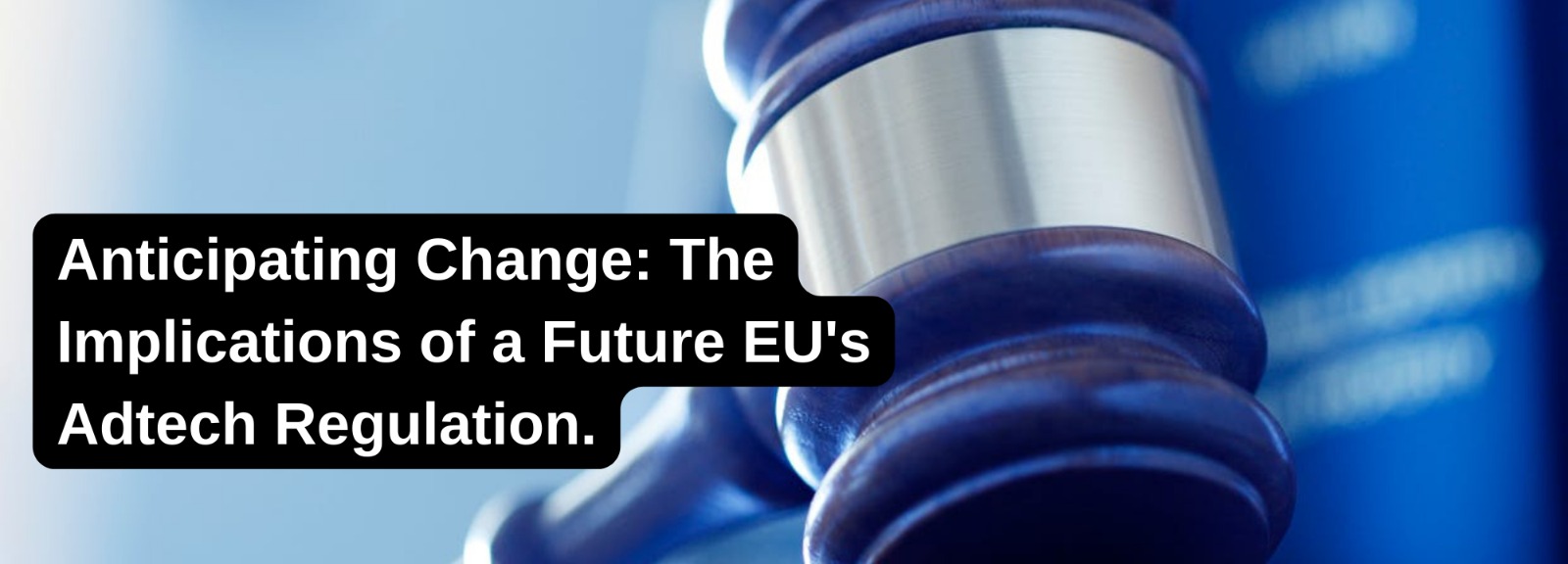 Anticipating Change: The Implications of a future EU's Adtech Regulation.